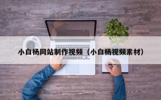 葫芦岛小白杨网站制作视频（小白杨视频素材）